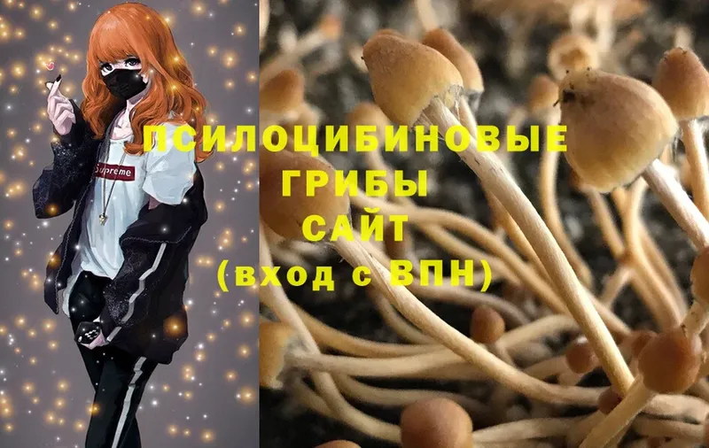 Галлюциногенные грибы Magic Shrooms  Нелидово 